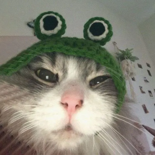 Cute Cat original
