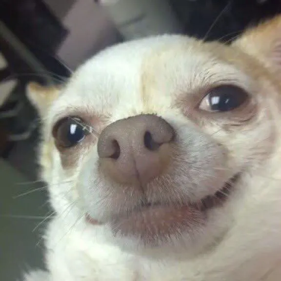 Happy Dog original